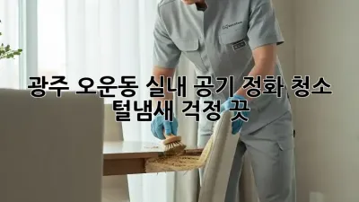 🐶🐱 광주 오운동 실내 공기 정화 청소, 털/냄새 걱정 끗! ✨