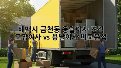 태백시 금천동 용달이사 견적: 포장이사 vs 용달이사 비교분석